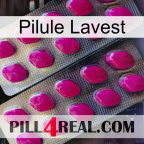 Lavest Pill 10